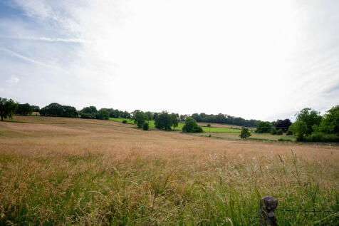 View From Garden