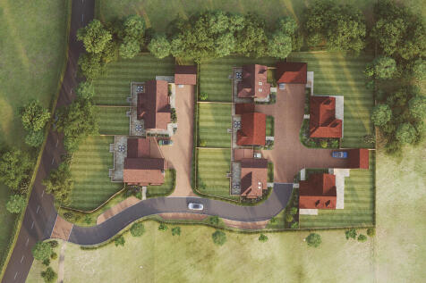 2501 - Remmus - S...