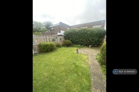 Back Garden