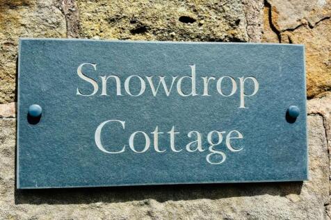 Snowdrop 2.jpeg