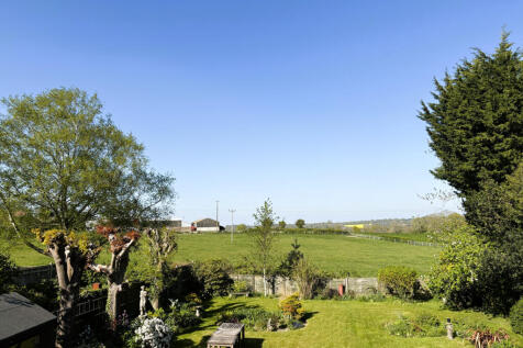 Garden and view