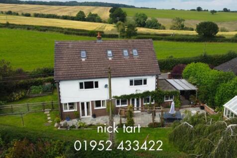 nicktart10819807nt