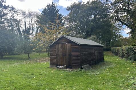 IMG 1743 T202510281537.jpg