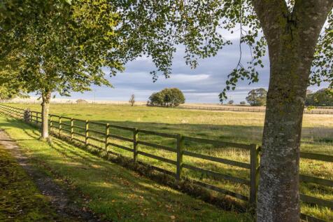 Second Drive and Paddock