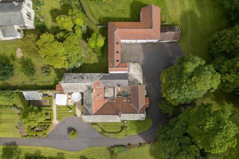 Birdseye