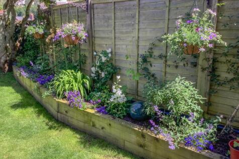 Rear Garden in Spring