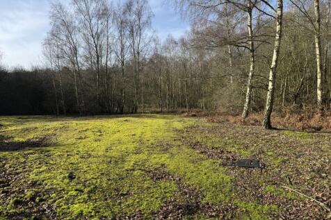 20260217 104650319 IOS  Medium  T202602180907.jpg