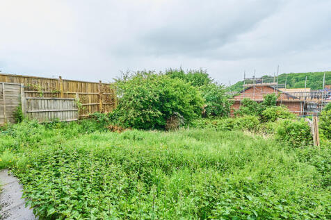 P1461893 T202505281845.jpg