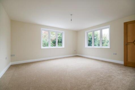 1440px-Elm Tree V...