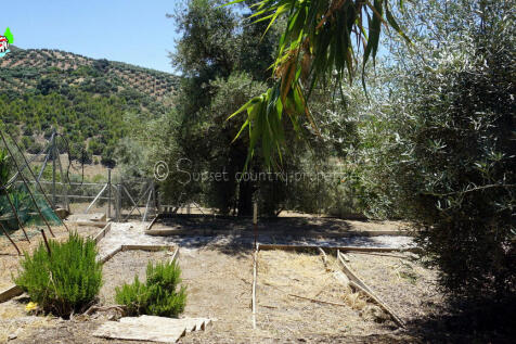 Property Image 56