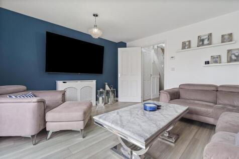 8 Bellflower close-002.jpg