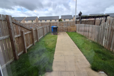 Back garden 