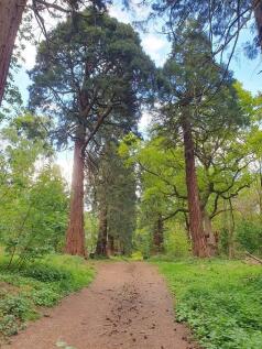 Country Park