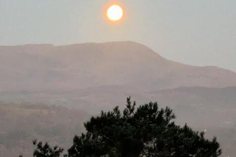 Photo taken by cu...