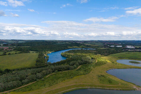 Waverley Lakes &amp; Walks