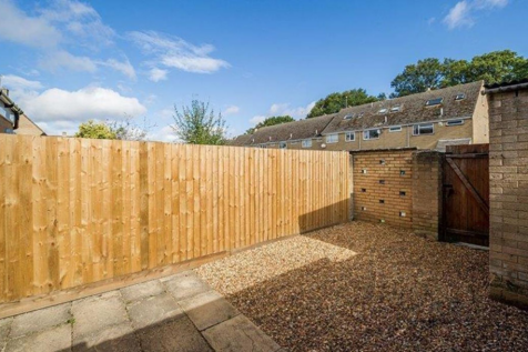 Back garden