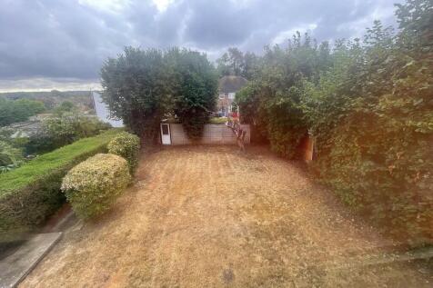 IMG-5524