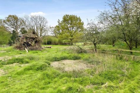 Garden/Land