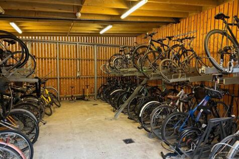 Bike Store.jpeg