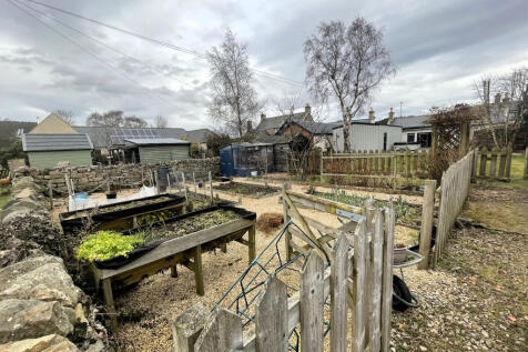Garden .JPG