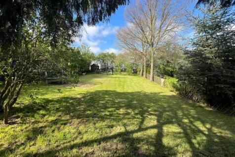 Rear Garden Area.jpg