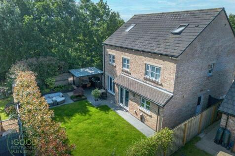 Property Image 42