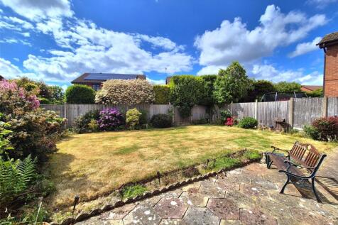 Sunny Garden