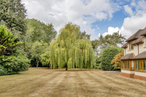 Property Image 37