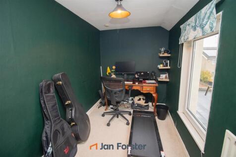 Study Area