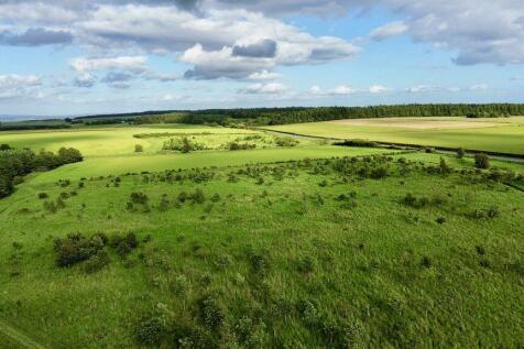 Farm Land for sale Image 7