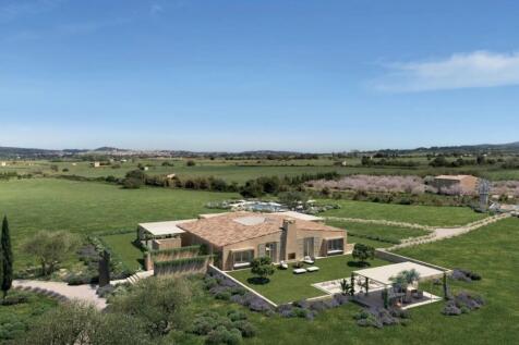 Aerial (1)