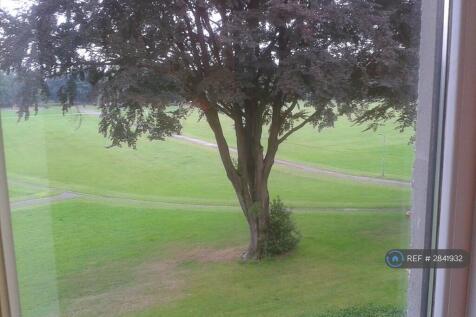 View From Lounge