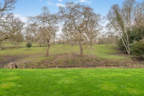 Garden/View