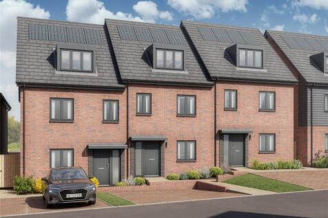 The Driftwood