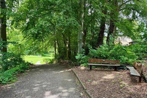Woodland walk
