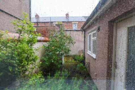 Rear Yard