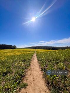 Local Walks 