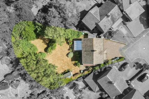 DJI_0155.jpg