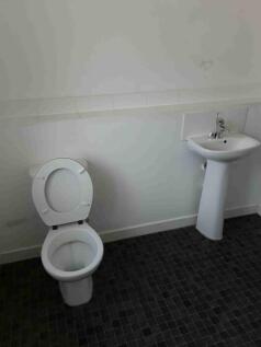 Picture6