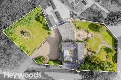 20240829-DJI_0534-Enhanced-SR - Copy