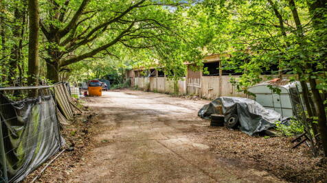 Property Image 10