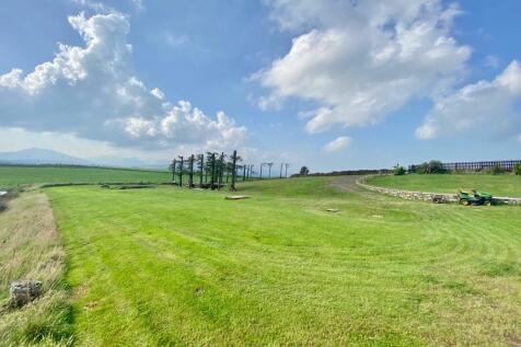 PHOTO-2023-09-14-10-32-14 (1).jpg