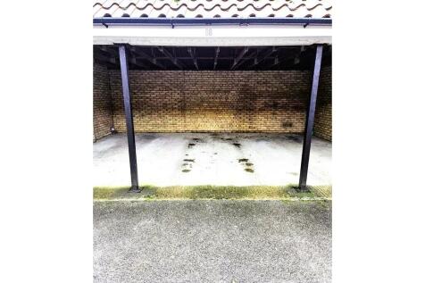 Rear Gardens