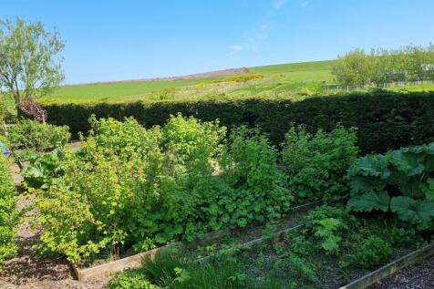 Vegetable Plot