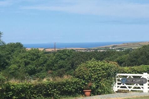 The View