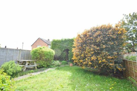 garden 2.jpg