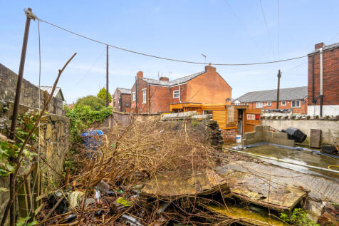 DSC 8922 T202603022110.jpg