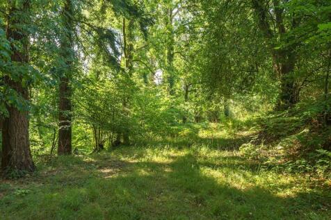 Heathcote Wood