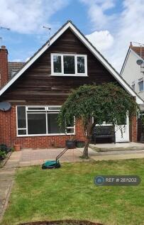 Rear Garden Area 