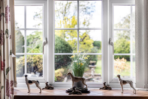 Window